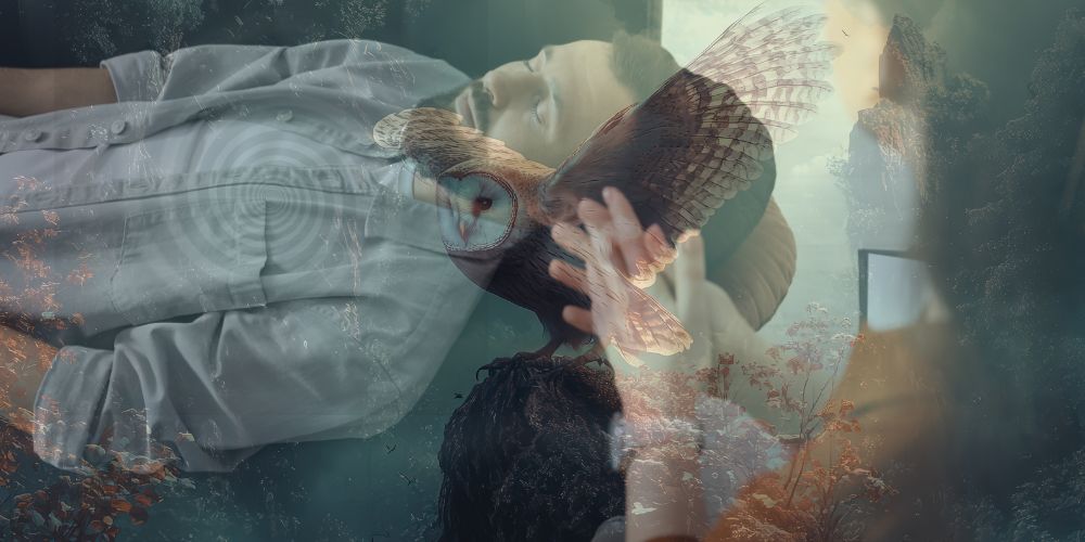 Ein Mann liegt mit geschlossenen Augen entspannt auf dem Rücken, während eine Hand vor ihm eine Eule zeigt, die in einem Wald mit Bäumen und Steinen fliegt, mehrere Bilder sind überlagert.